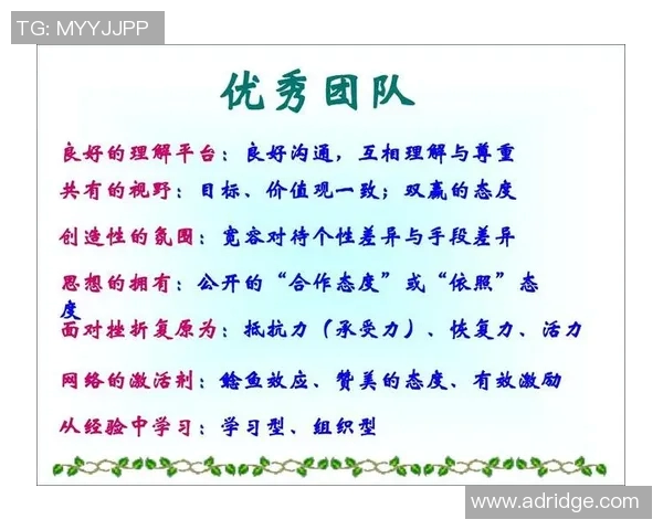 深圳排球队的默契配合揭秘:排球场上的团队精神与战术分析 深圳排球队的默契配合揭秘:排球场上的团队精神与战术分析