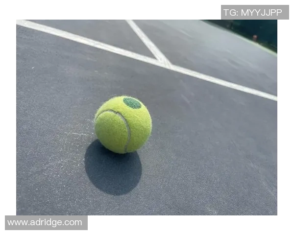 从零基础到高手之路：全面掌握网球速度技巧与训练方法