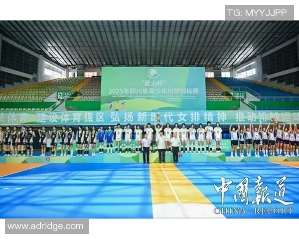 全国锦标赛回顾：成都排球队速度优势助力夺冠之路