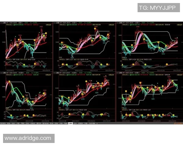 南京篮球队与杭州篮球队赛后技术分析与战术复盘探讨
