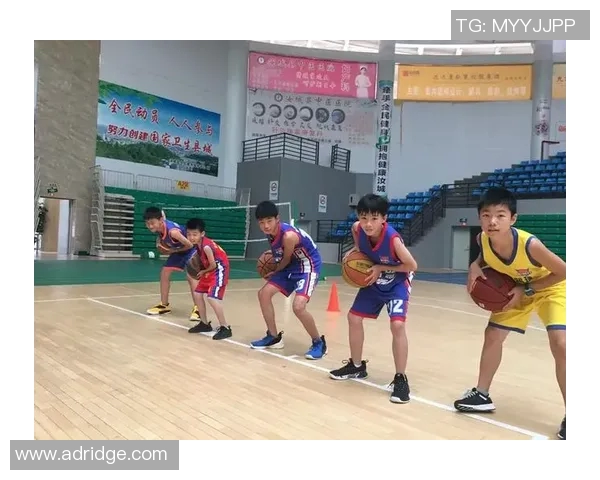 杭州篮球队挑战赛个人能力分析与表现评估