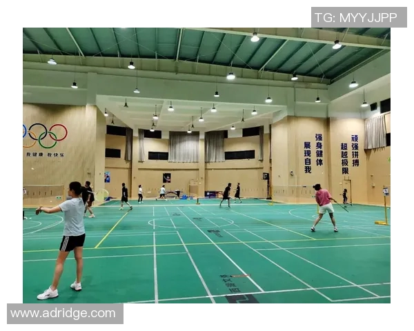 杭州羽毛球队挑战赛表现分析与状态评估全面解读