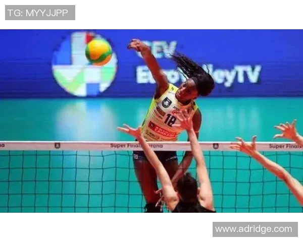 深圳排球队的蜕变与成长：一段关于坚持与梦想的排球纪实之旅