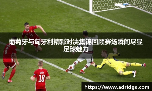 乐竞体育官方网站